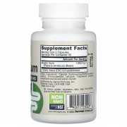 Jarrow Formulas, веганська мастикова смола, 60 рослинних капсул (500 мг у капсулі)